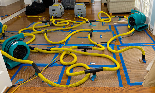 Professional Sewage Cleanup technician working in West Paris, ME